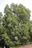2d131ffd8c01a98bcce0e28bb254dc74ddfb30a6