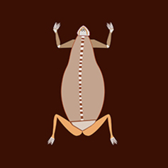 Amphibian