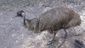 638eebeef7682caa809ef57ec7143eab8e6d68d9