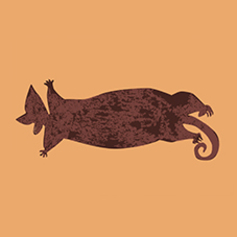 Mammals
