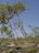 Ed73dc6cedf0f551015031a115bcd111c55cda15